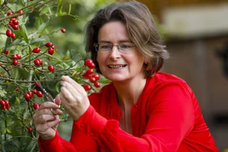Christine Cieslak kennt die Pflanzen der Oberlausitz.